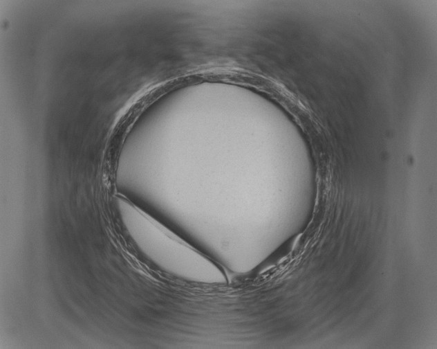 X0000083611400200703051531