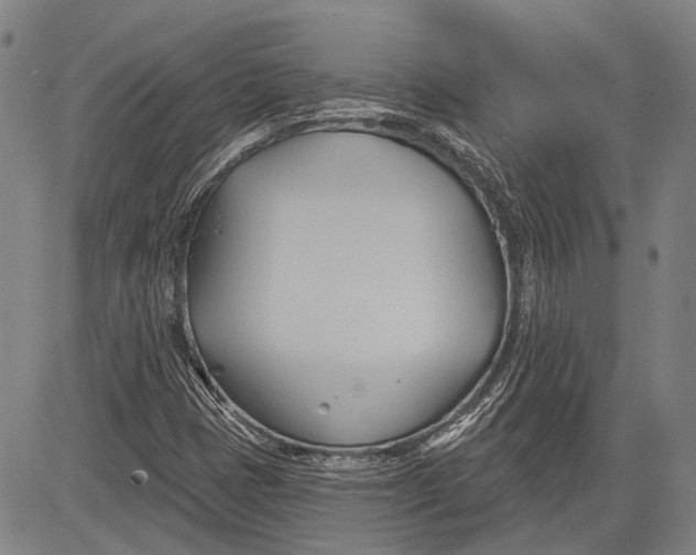 X0000083611401200703051531