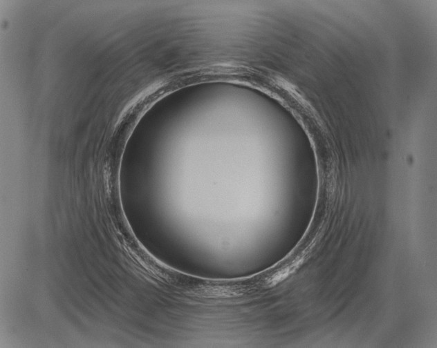 X0000083611402200703051531