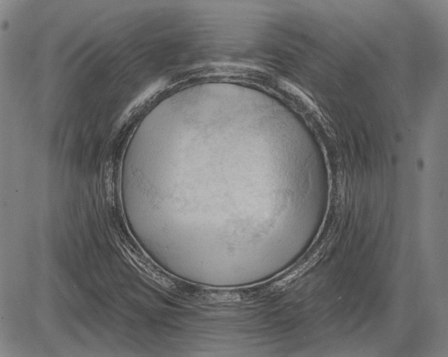 X0000083611403200703051531