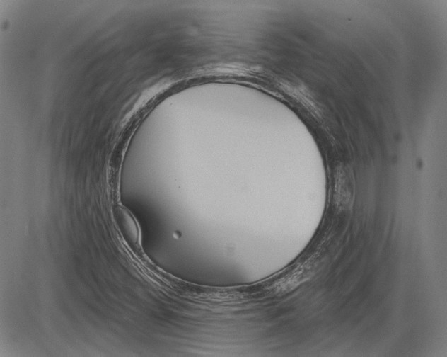 X0000083611404200703051531