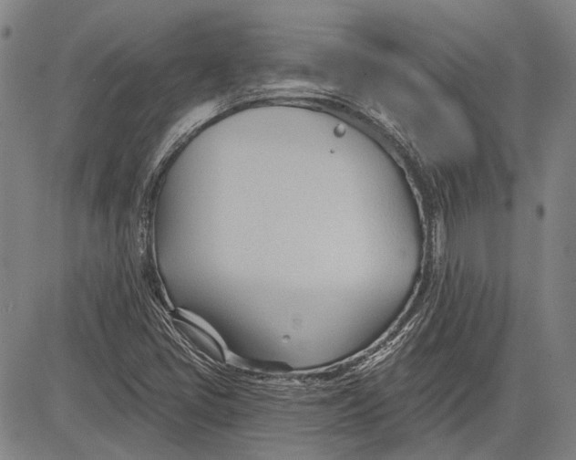 X0000083611405200703051531