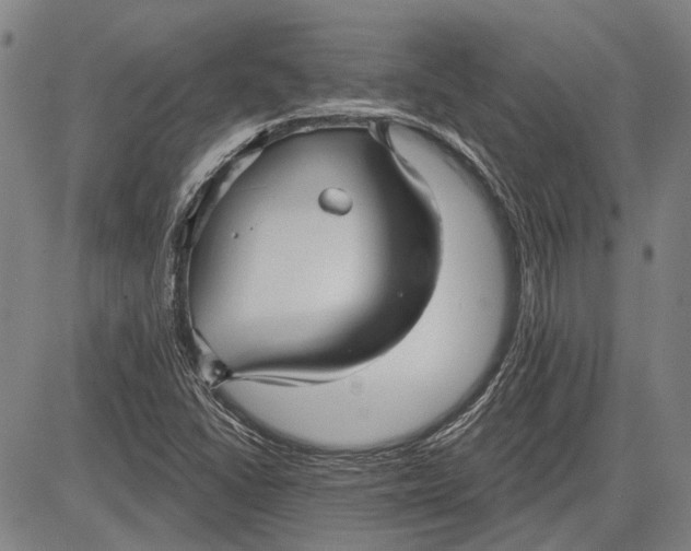 X0000083611406200703051531