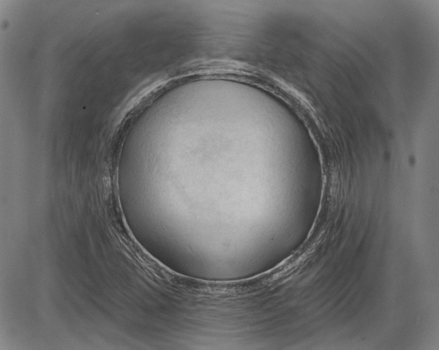 X0000083611407200703051531