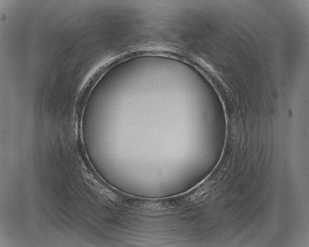 X0000083611408200703051531