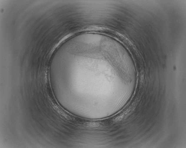 X0000083611409200703051531