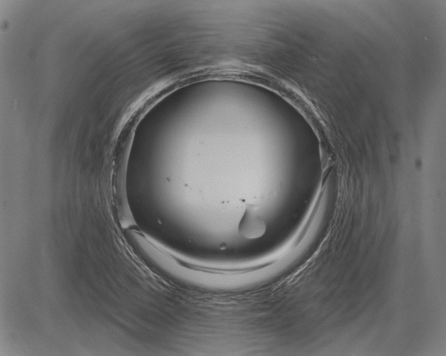 X0000083611410200703051531