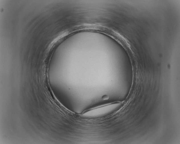 X0000083611411200703051531