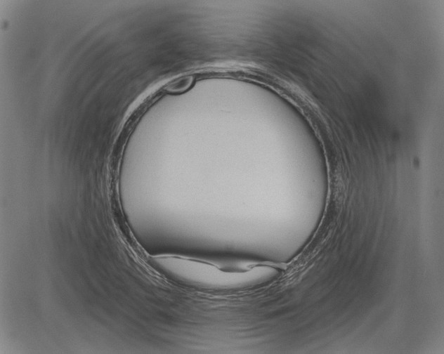 X0000083611412200703051531