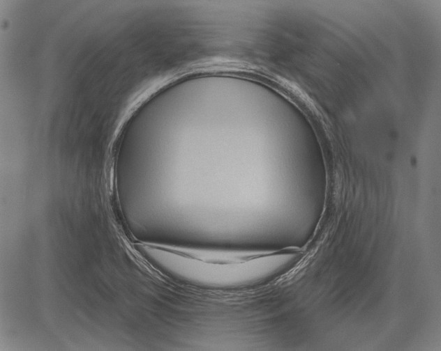 X0000083611413200703051532