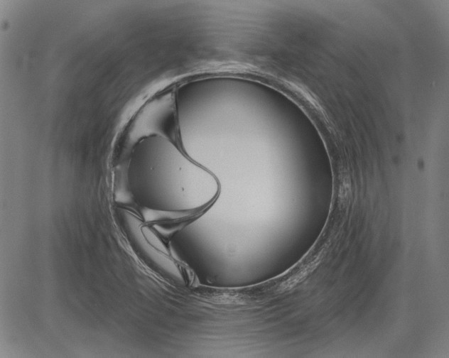 X0000083611414200703051532