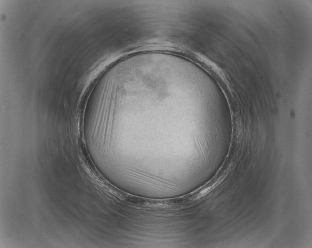 X0000083611415200703051532