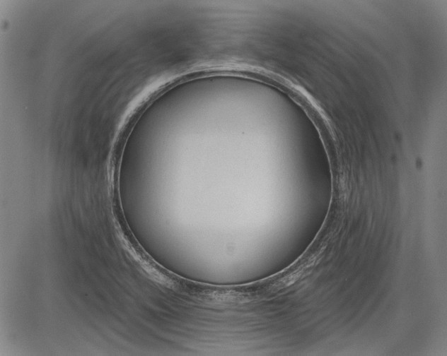 X0000083611416200703051532