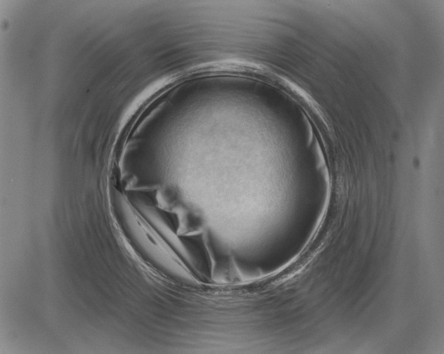 X0000083611418200703051532