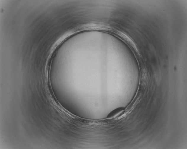 X0000083611419200703051532