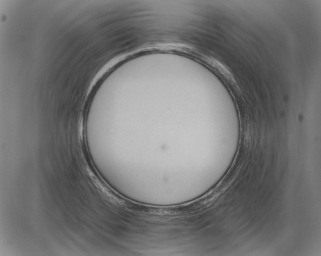 X0000083611420200703051532