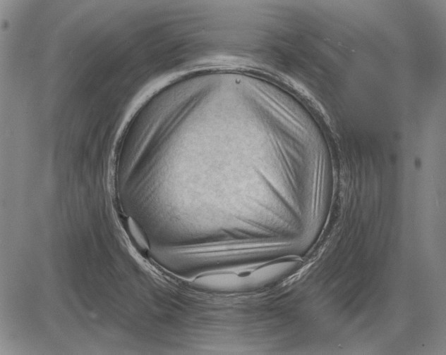 X0000083611421200703051532