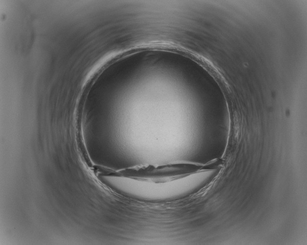 X0000083611422200703051532