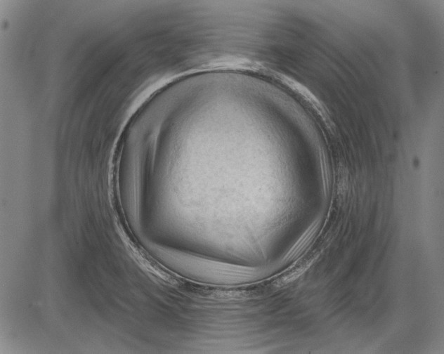 X0000083611423200703051532