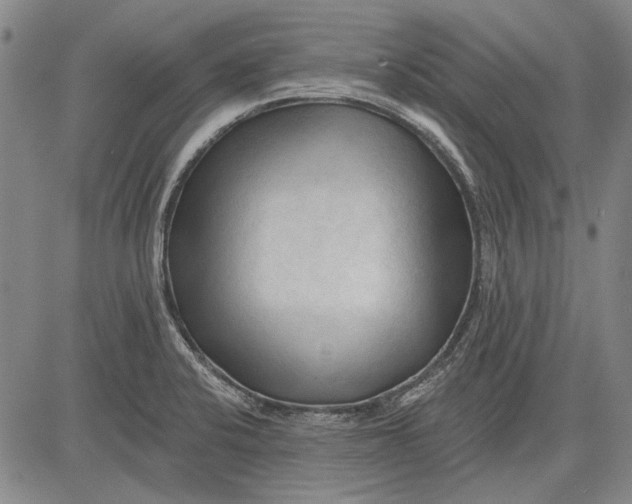 X0000083611424200703051532