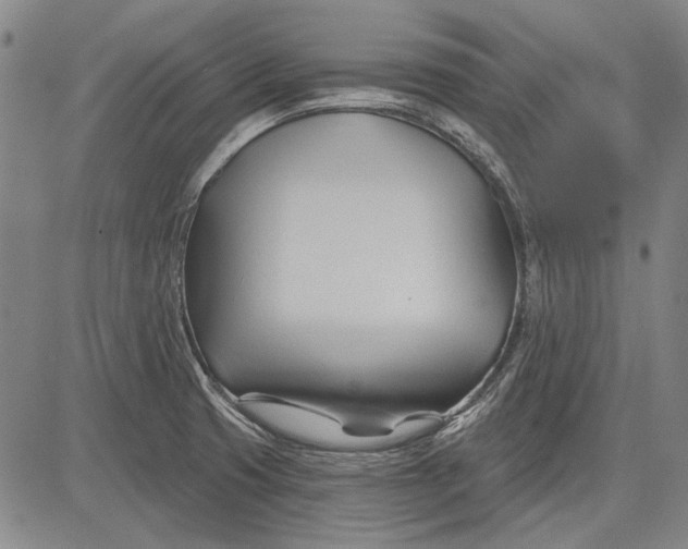 X0000083611425200703051532