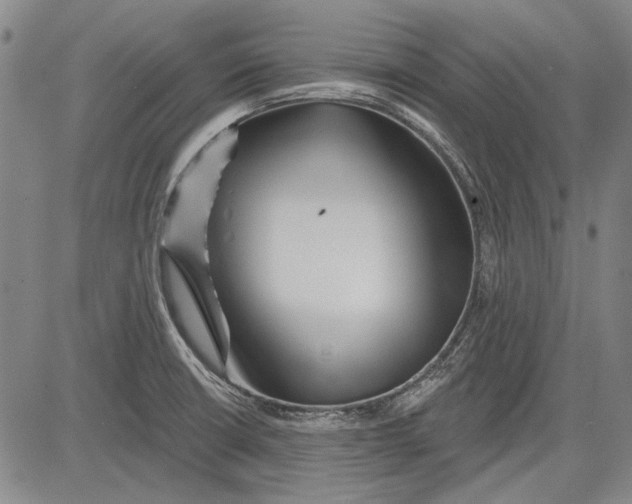 X0000083611426200703051532