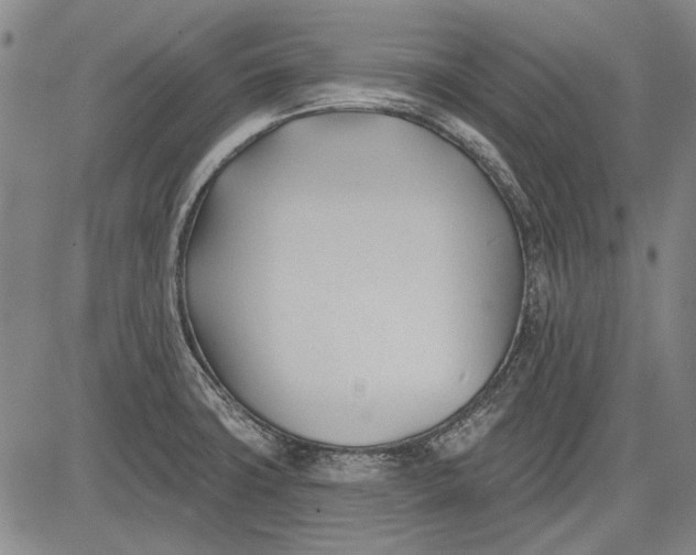 X0000083611427200703051532