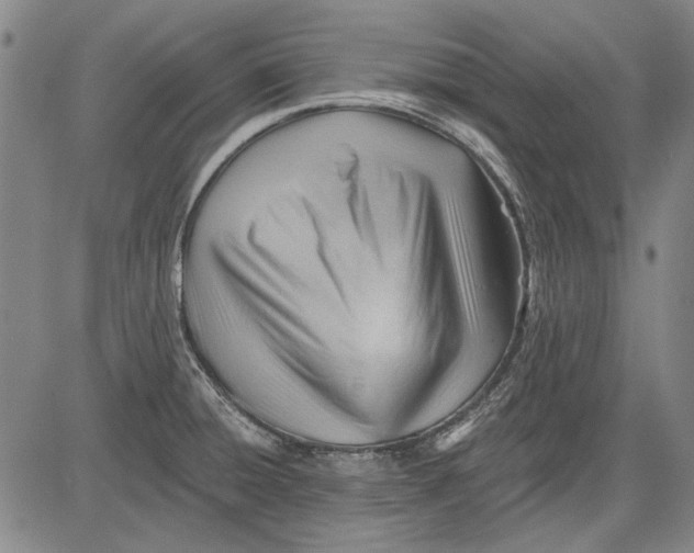 X0000083611428200703051532