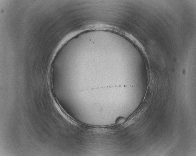 X0000083611429200703051532