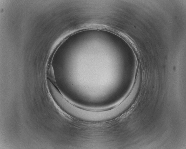 X0000083611430200703051532