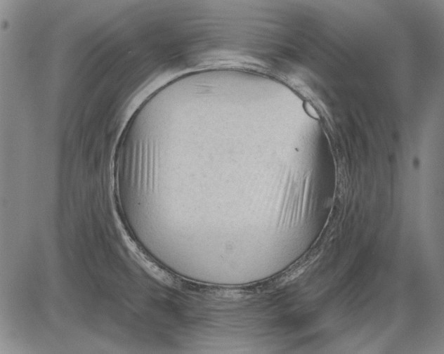 X0000083611431200703051532