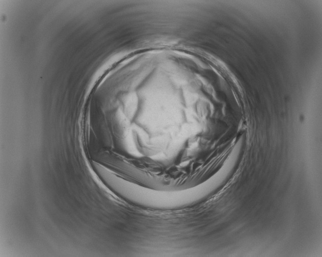 X0000083611432200703051532