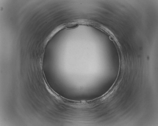 X0000083611433200703051532