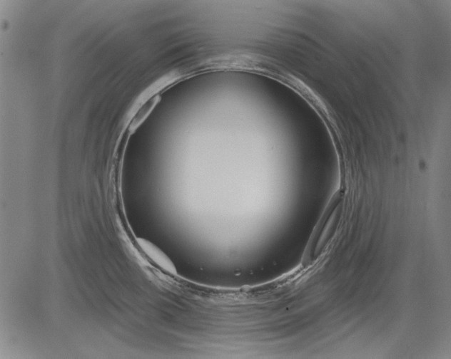 X0000083611434200703051532