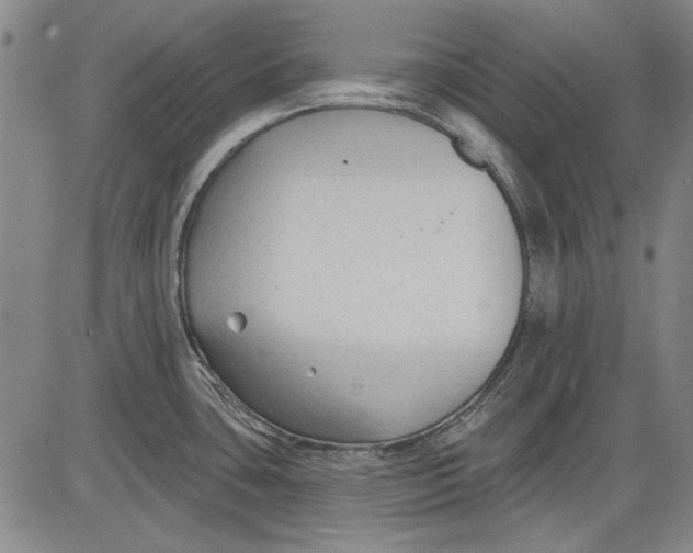 X0000083611435200703051532