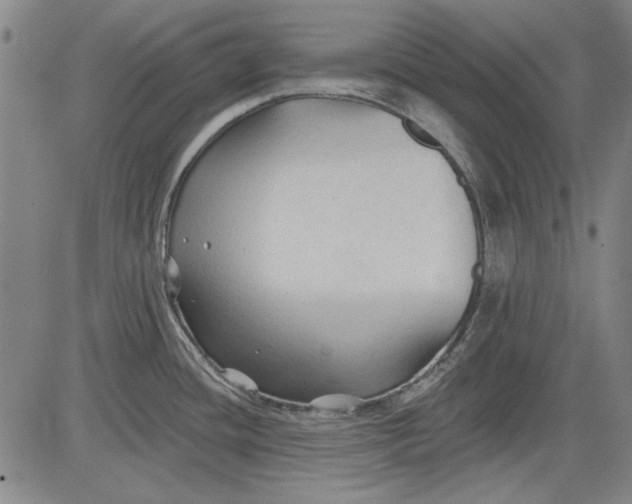 X0000083611436200703051532