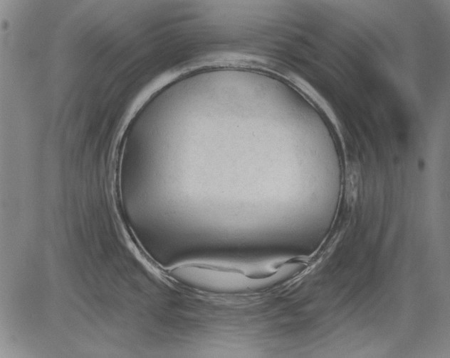 X0000083611437200703051532