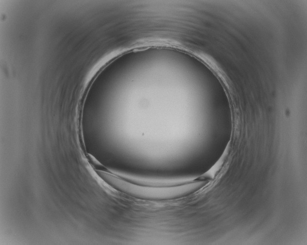 X0000083611438200703051532