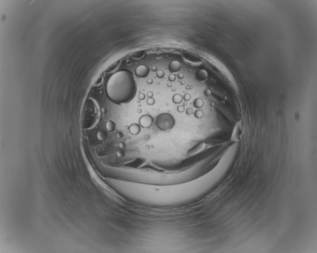 X0000083611439200703051532