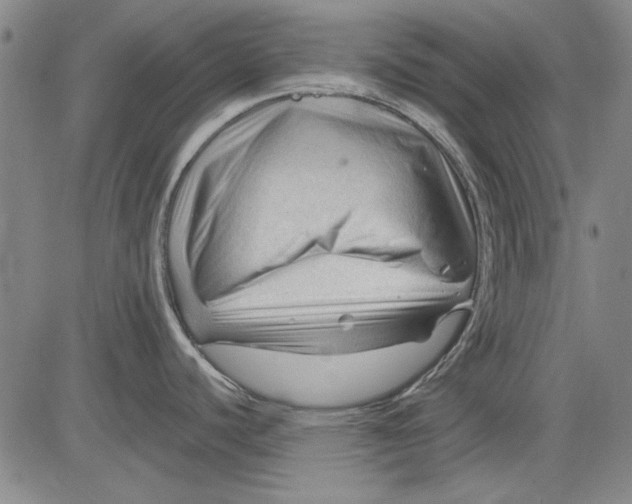 X0000083611440200703051532