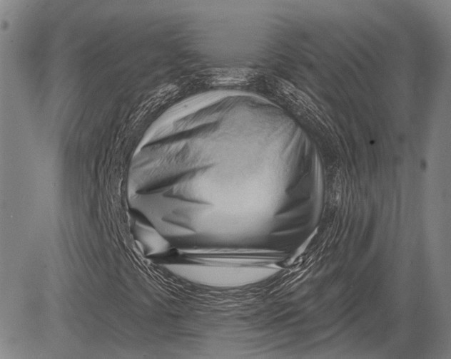 X0000083611441200703051531