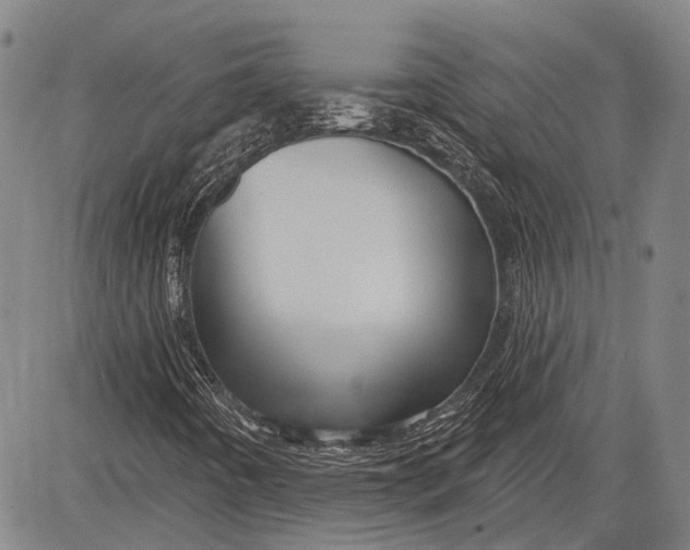 X0000083611442200703051531