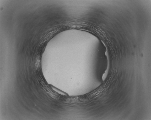 X0000083611444200703051531