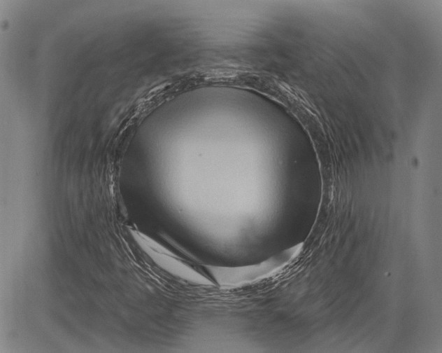 X0000083611445200703051531