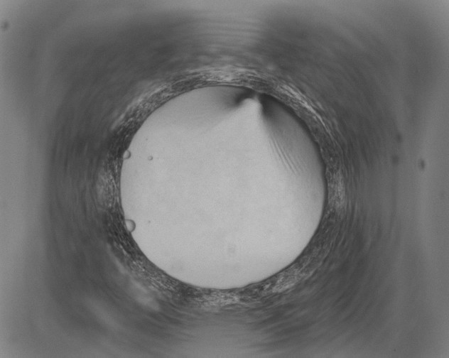 X0000083611446200703051531