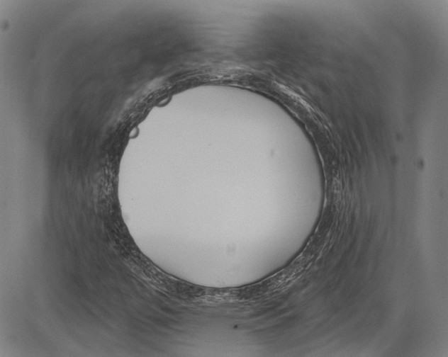 X0000083611447200703051531