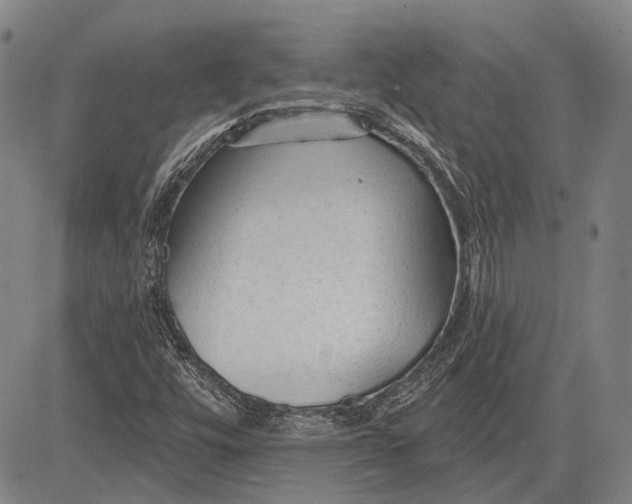 X0000083611448200703051531