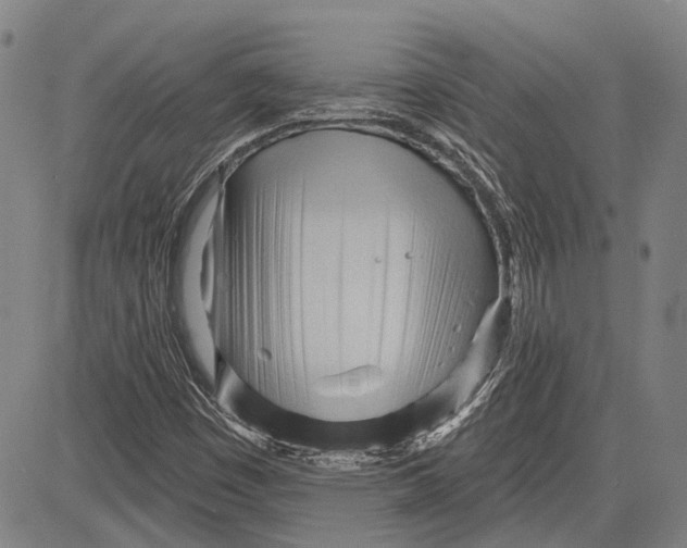 X0000083611449200703051531