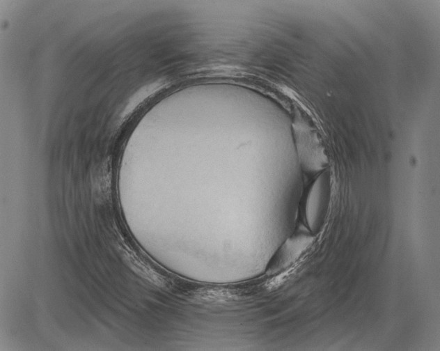 X0000083611450200703051531