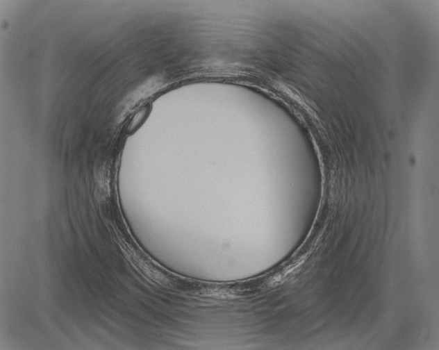 X0000083611451200703051531